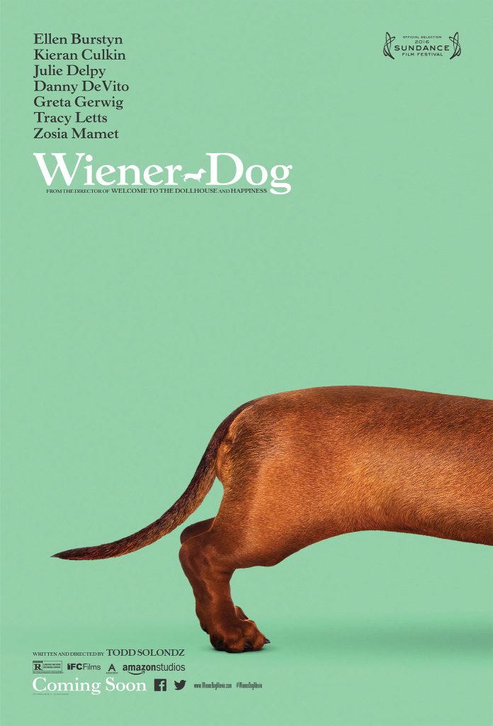 Wiener - Dog