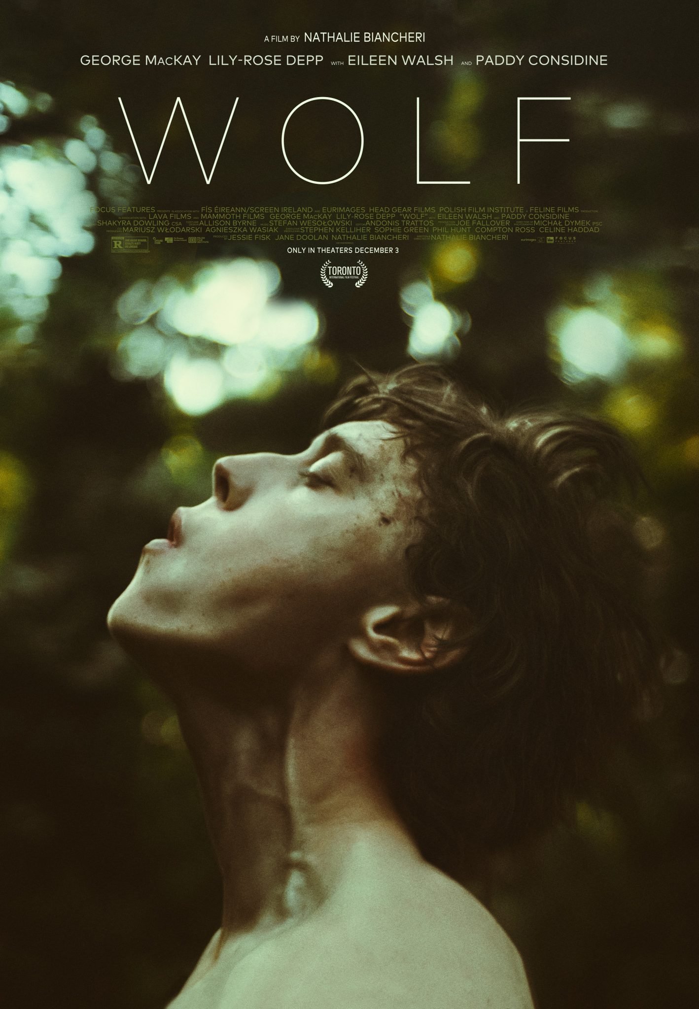Wolf